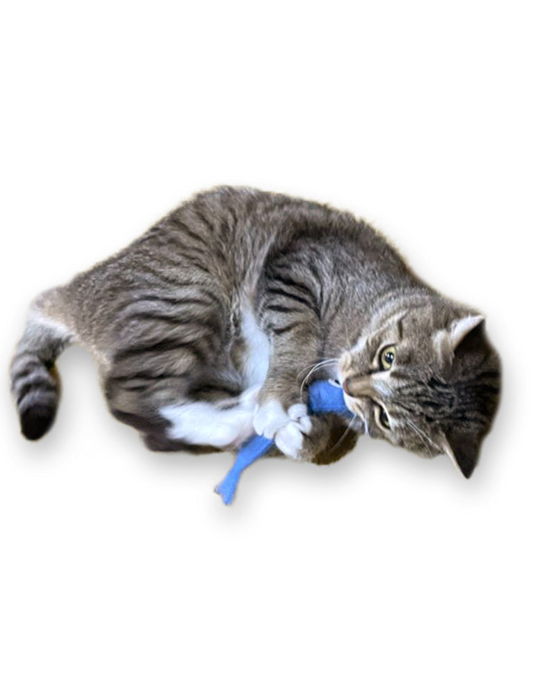 Anchovy Wool Catnip Cat Toy