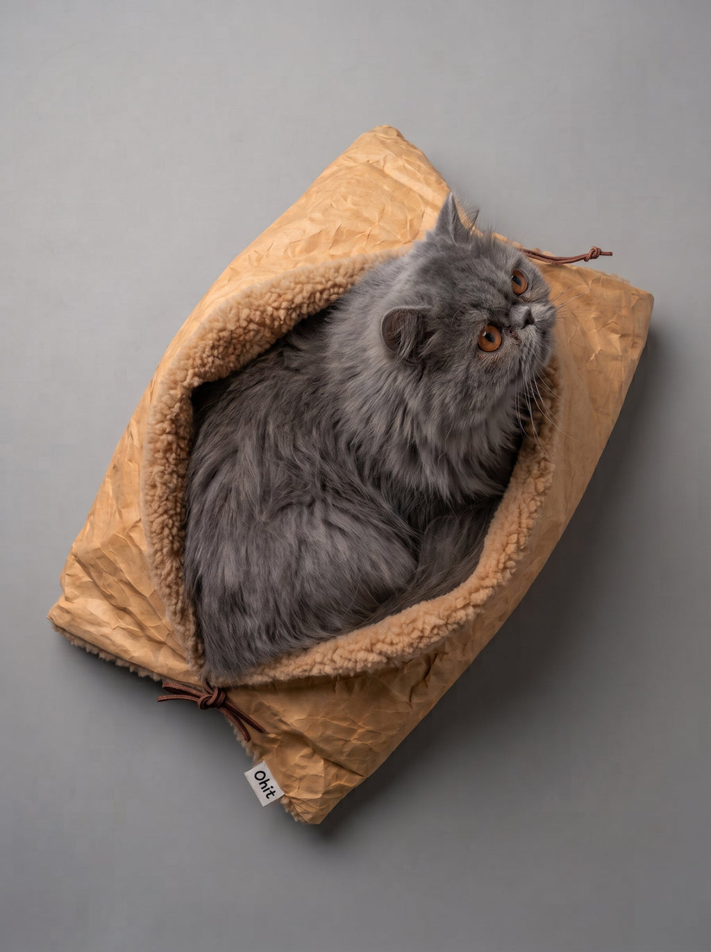Baguette bouclé cat cushion