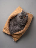 Baguette bouclé cat cushion