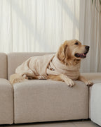 Pet microfiber drying towel