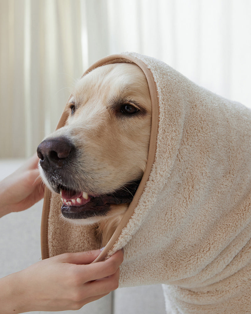 Pet microfiber drying towel