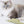 catnip toy for cat _ petssogood