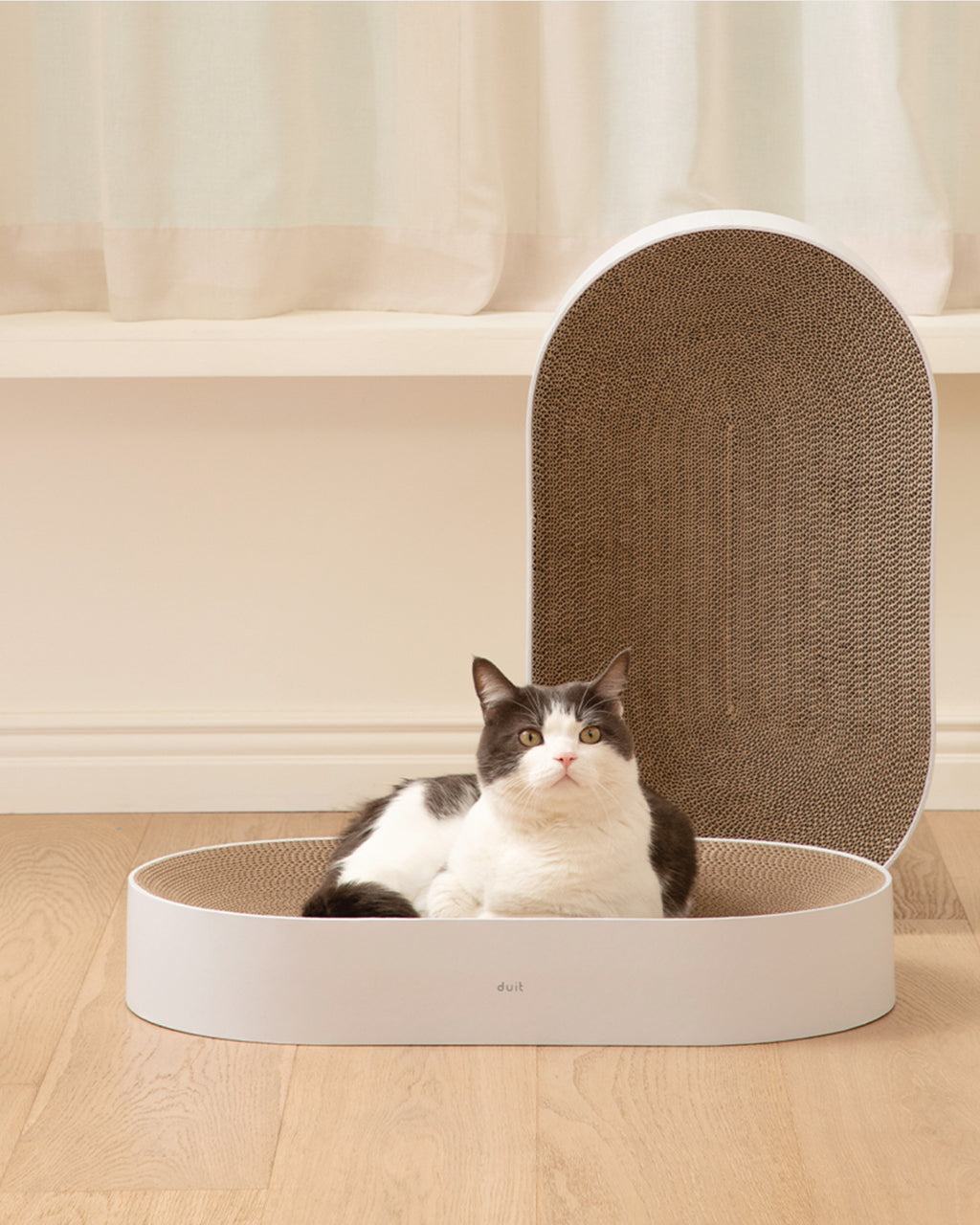 All Day cat scratcher with modern design, large surface, and non-slip bottom – Petssogood