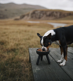 Easy Oreo Elevated Pet Feeder Table . Black