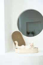 Cat Essentials Set — Scratcher, Brush & 2 Mice
