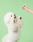 Smile Dental Brush & Gel