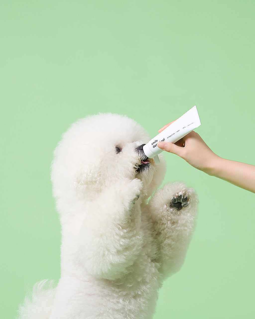 Smile Dental Brush & Gel