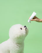 Smile Dental Brush & Gel