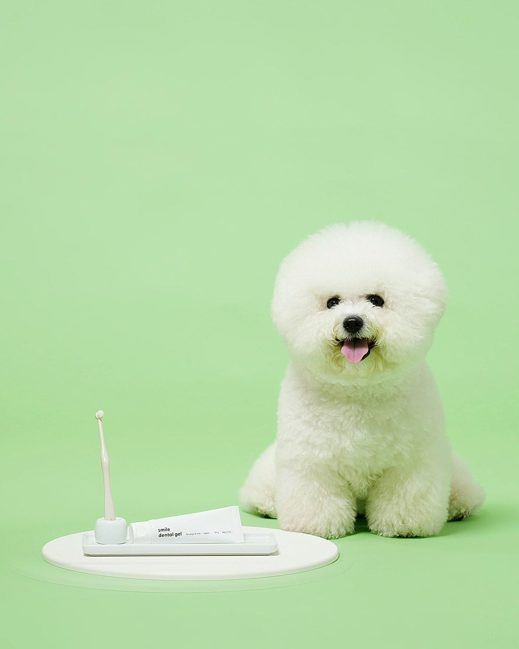 Smile Dental Brush & Gel