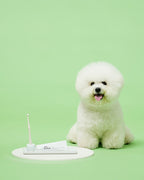 Smile Dental Brush & Gel