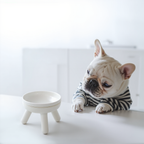 Easy Oreo Elevated Pet Feeder Table . Cream