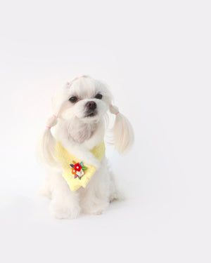 Hanbok Nubim dog cape