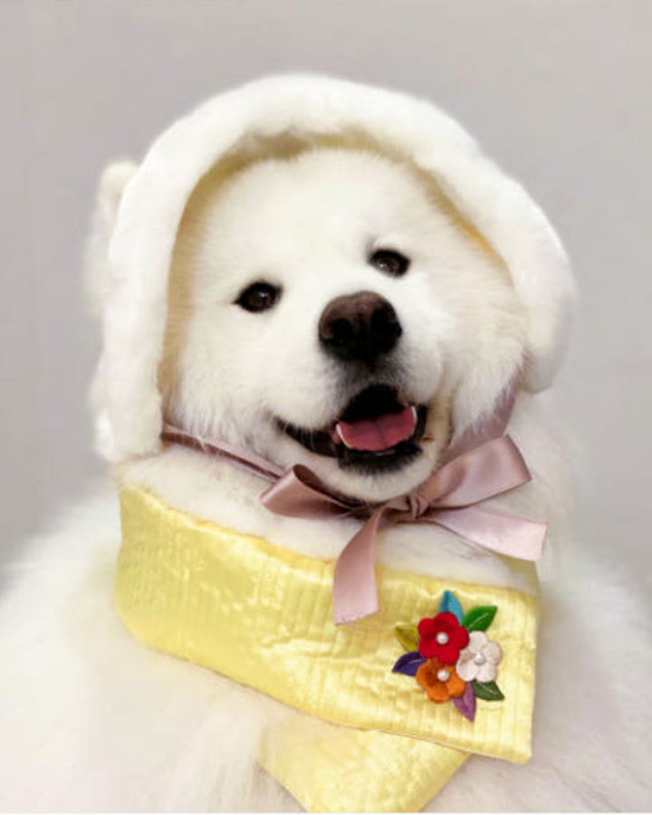 Hanbok Nubim dog cape