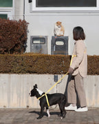 Macaron Hands Free Leash . Aqua