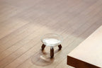 Glass Single Dining Set . Walnut — Feeder + Mat