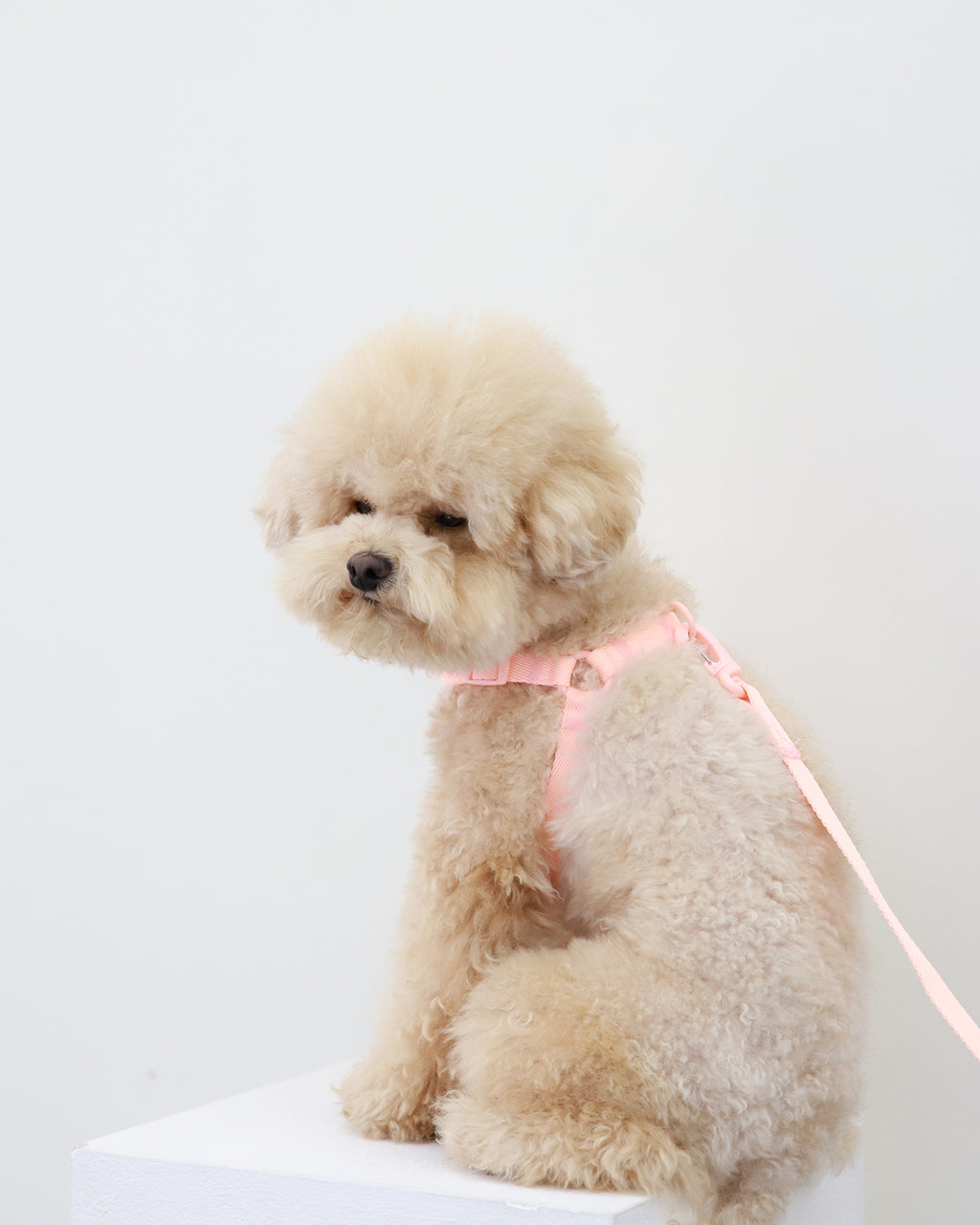 Macaron No Pull Dog Harness . Pink