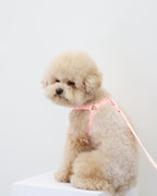 Macaron No Pull Dog Harness . Pink