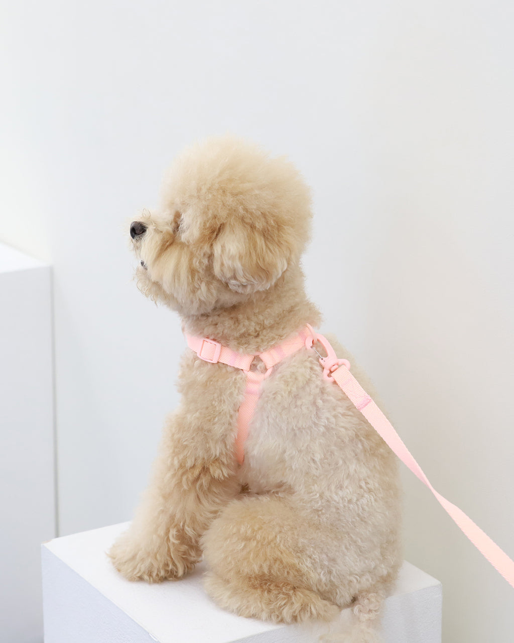 Macaron No Pull Dog Harness . Pink