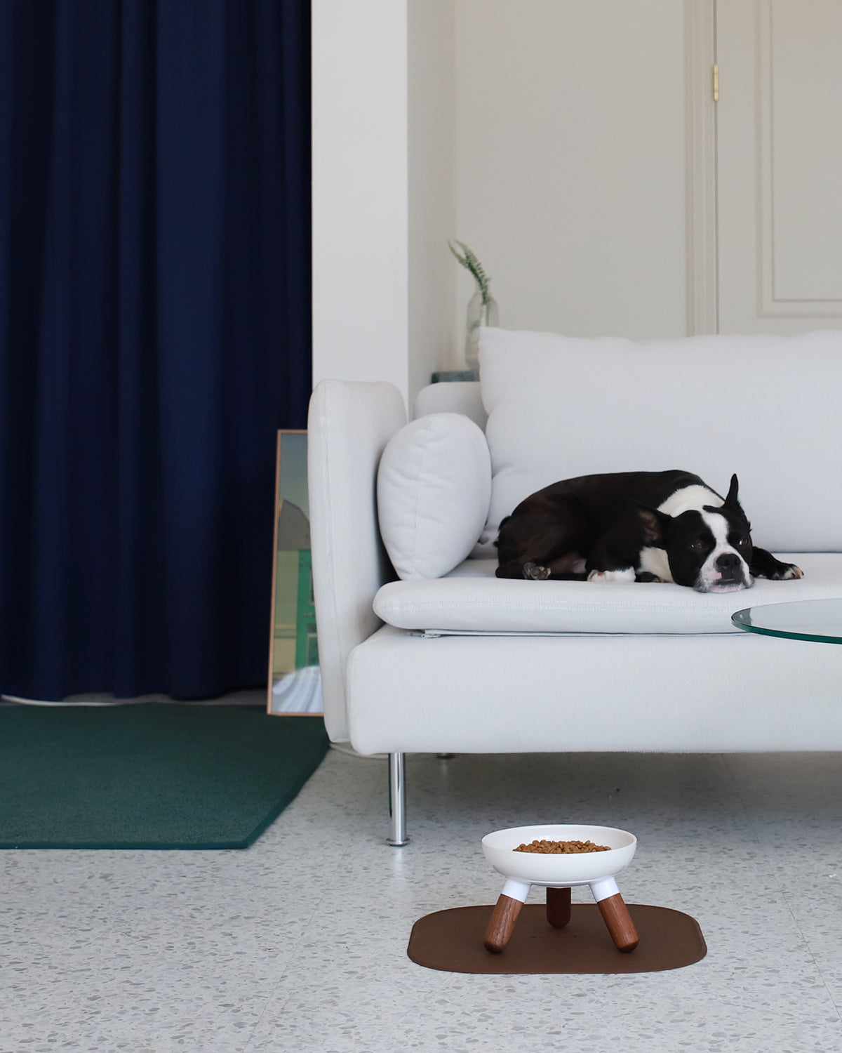 Elevated Standing Pet Bowl Premium High Quality Pets So Good