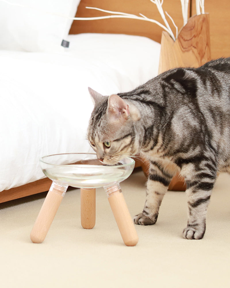 Elevated modern design feeding table for dogs and cats_pets so good