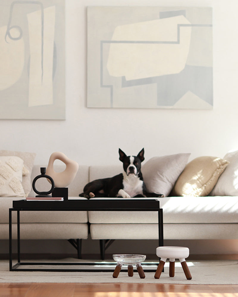 Oreo Glass Elevated Pet Table. Walnut