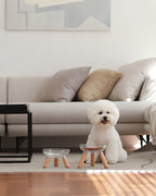 Elevated modern design feeding table for dogs and cats_pets so good