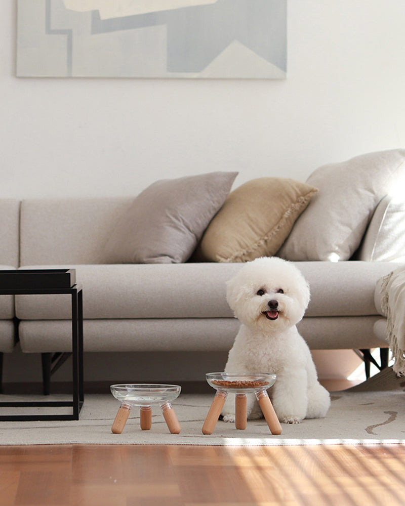 Elevated modern design feeding table for dogs and cats_pets so good