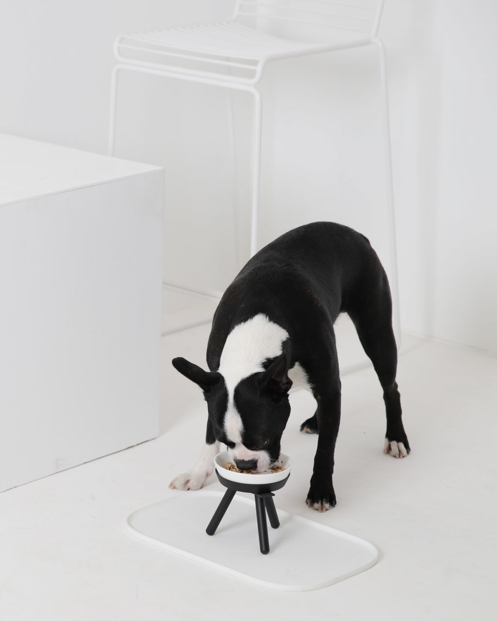 Oreo Elevated Pet Feeder Table . Black & White