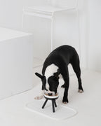 Oreo Elevated Pet Feeder Table . Black & White