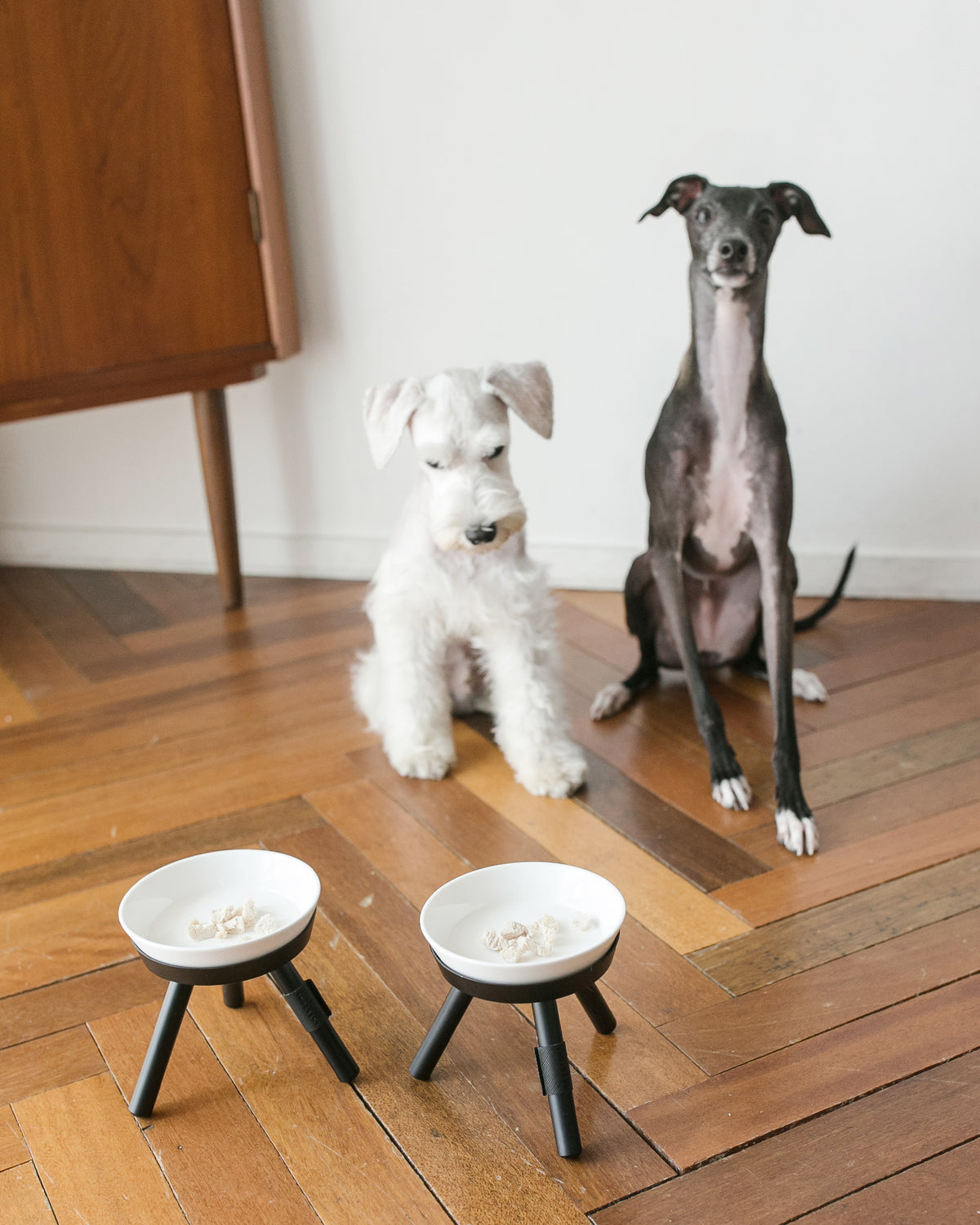 Oreo Elevated Pet Feeder Table . Black & White