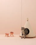 Oreo Elevated Pet Feeder Table . Pink
