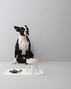 Oreo Elevated Pet Feeder Table . Cream