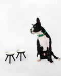 Oreo Elevated Pet Feeder Table . Black & White