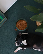 Oreo Elevated Pet Table Wood . Dark Green . Beech