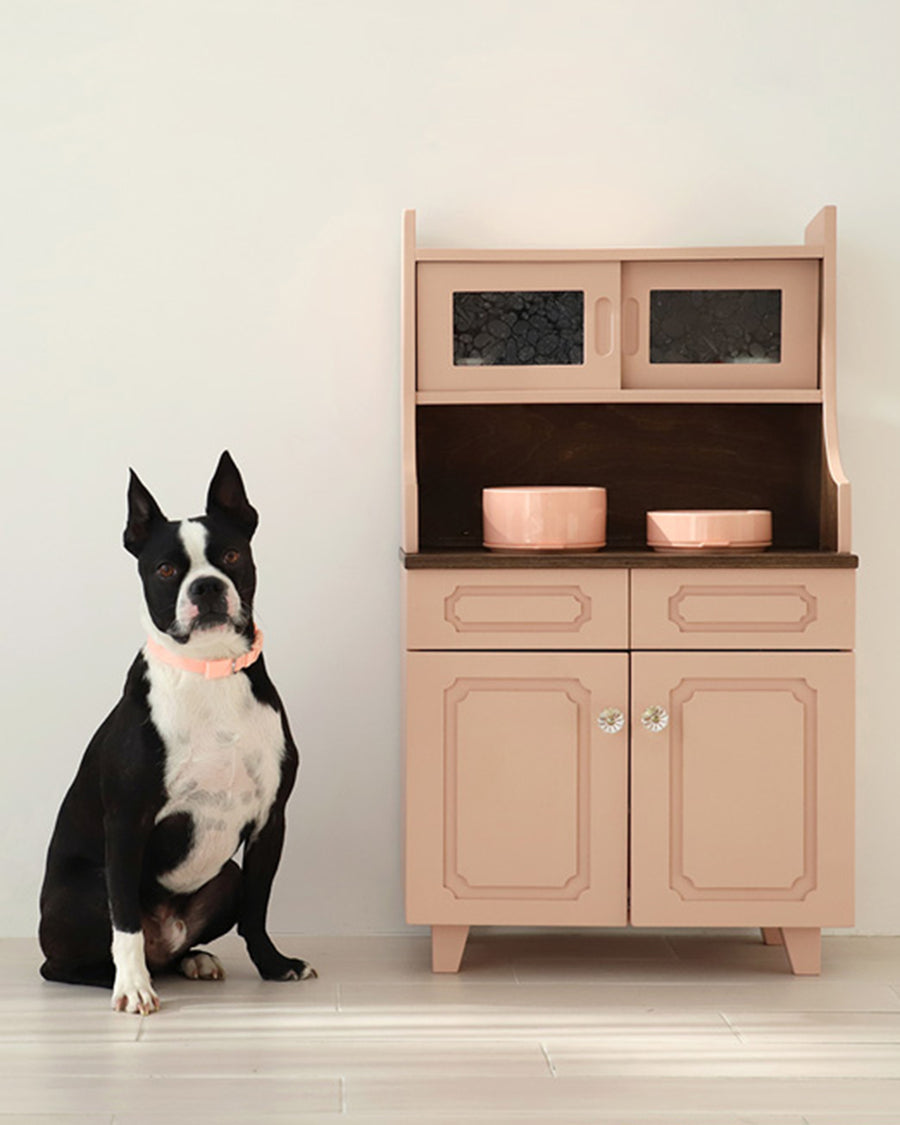 Pudding Pet Bowl Bundle