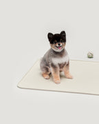 Silicon Pee Pad holder