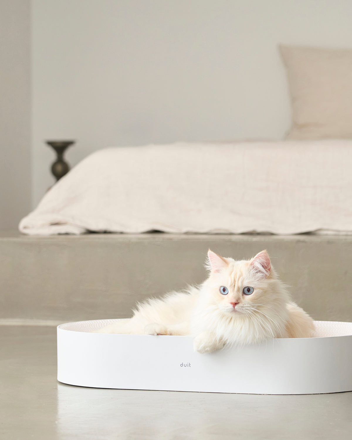 All Day cat scratcher with modern design, large surface, and non-slip bottom – Petssogood