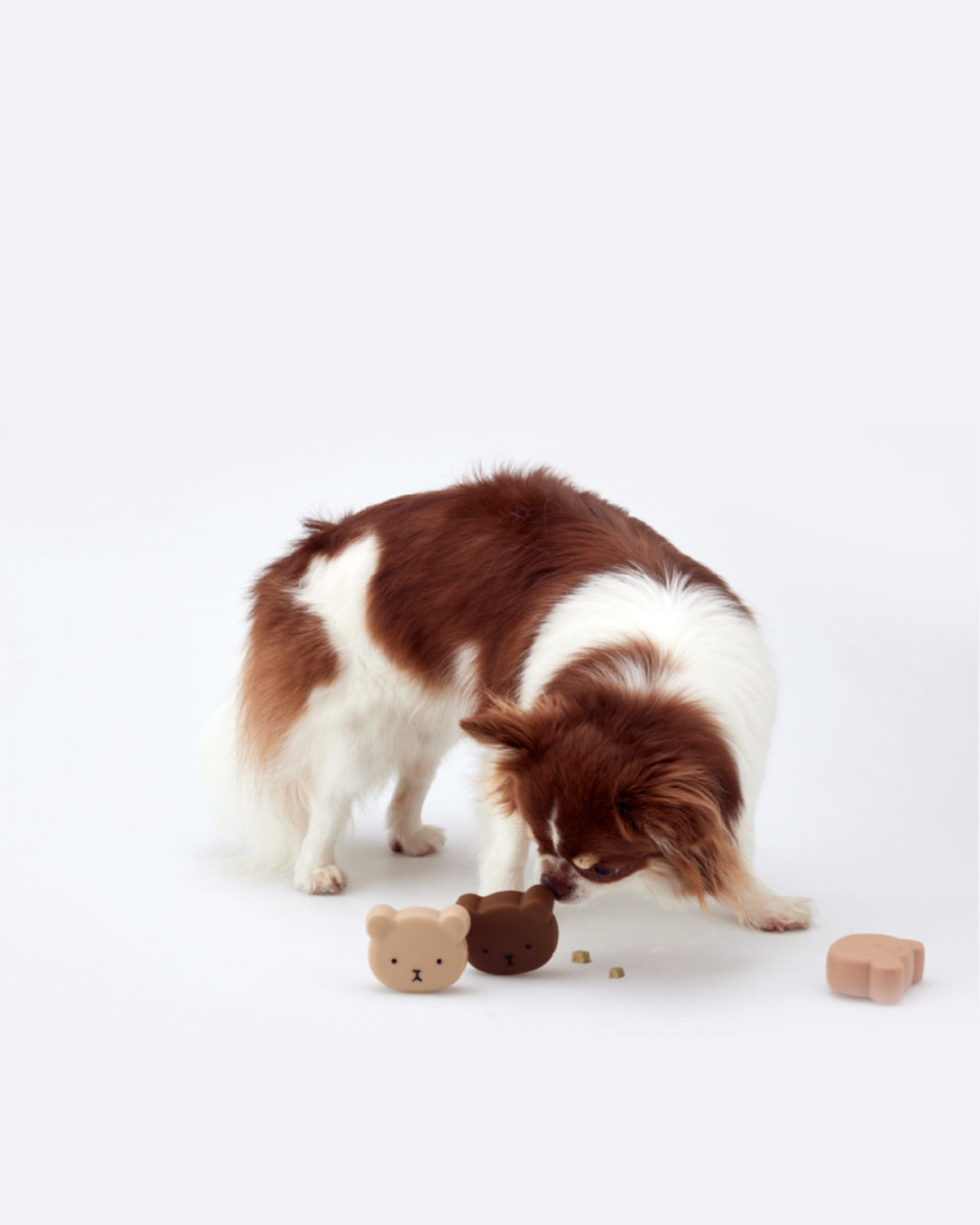 Coconi Bear Silicone Nosework Toy