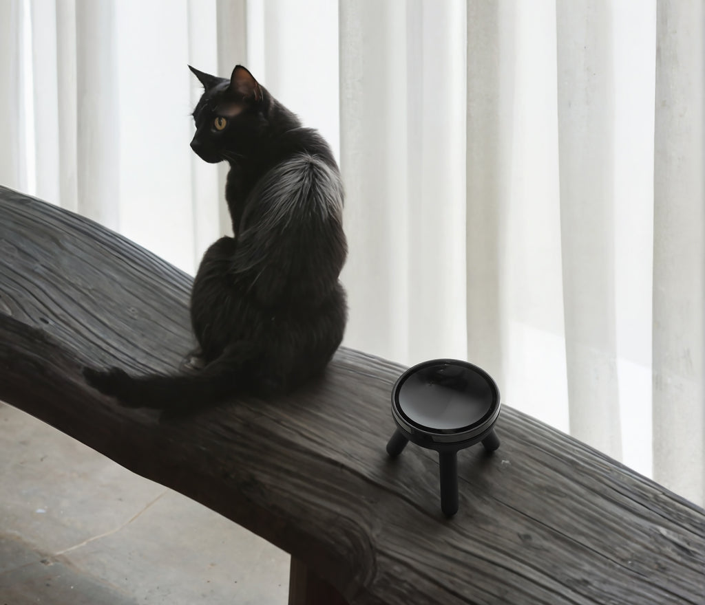 Easy Oreo Elevated Pet Feeder Table . Black
