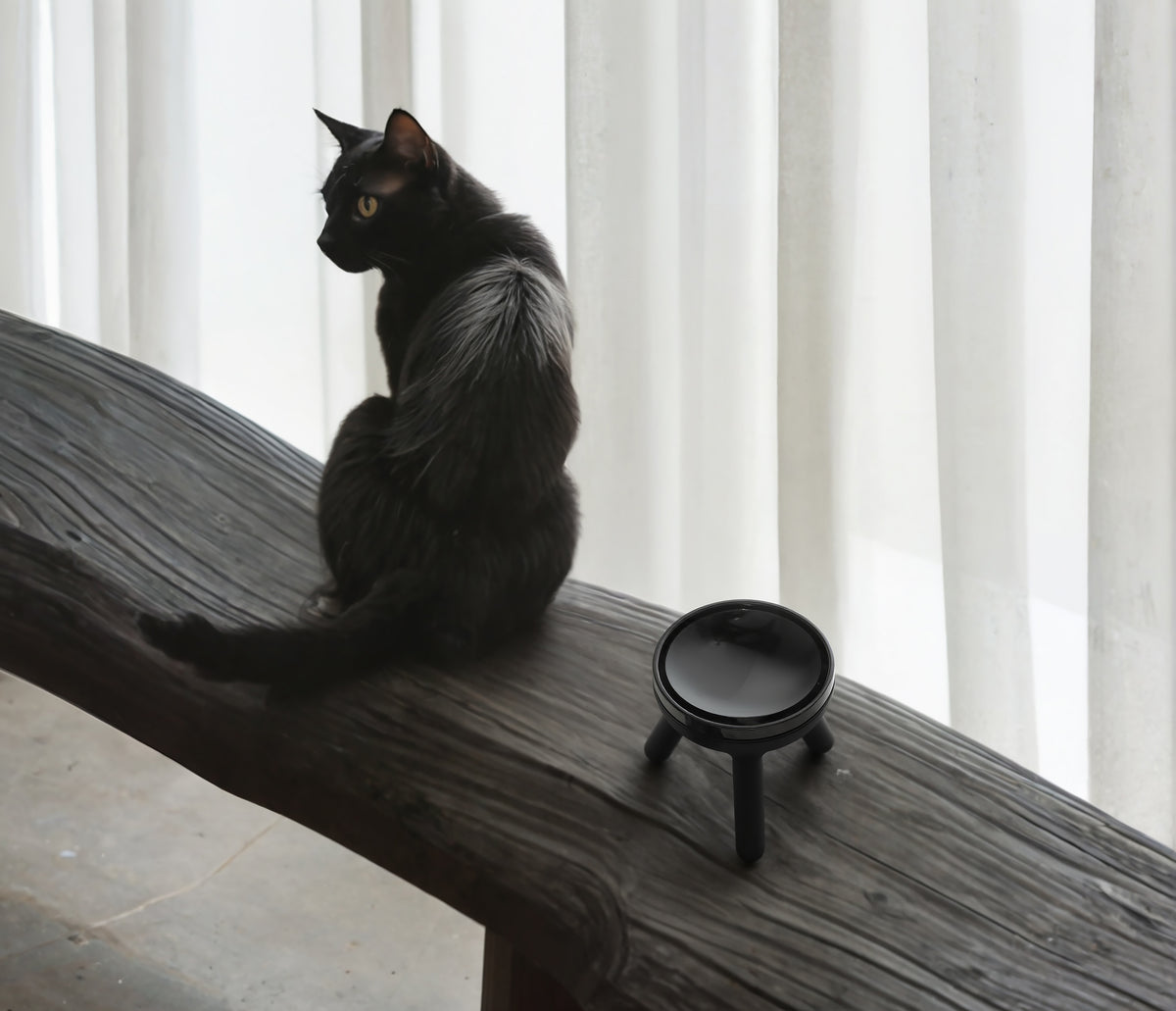 Easy Oreo Elevated Pet Feeder Table . Black