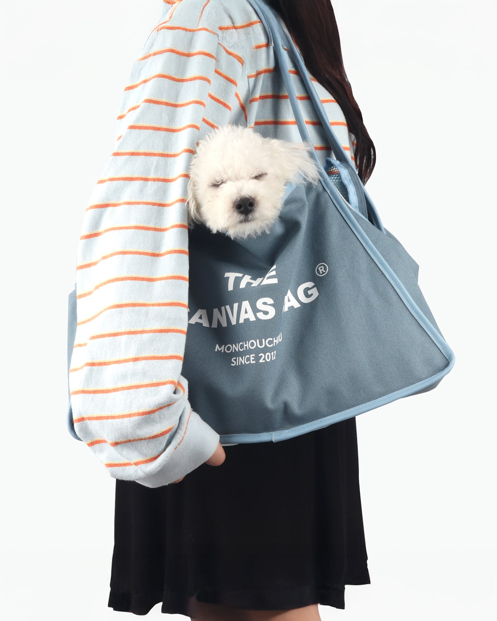 The canvas dog & cat carrier bag . Ash Blue