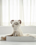 Hooded microfiber cat towel in cream with bear hood