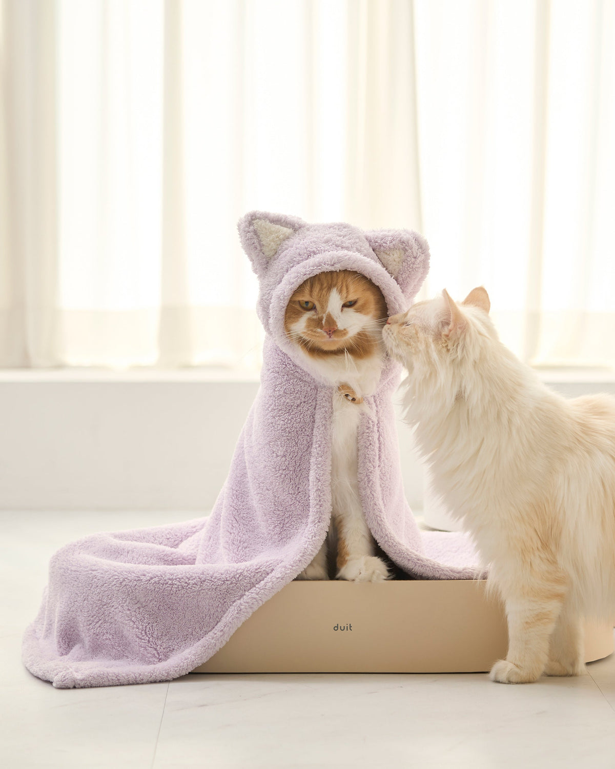 Cat wearing a lavender hooded microfiber towel