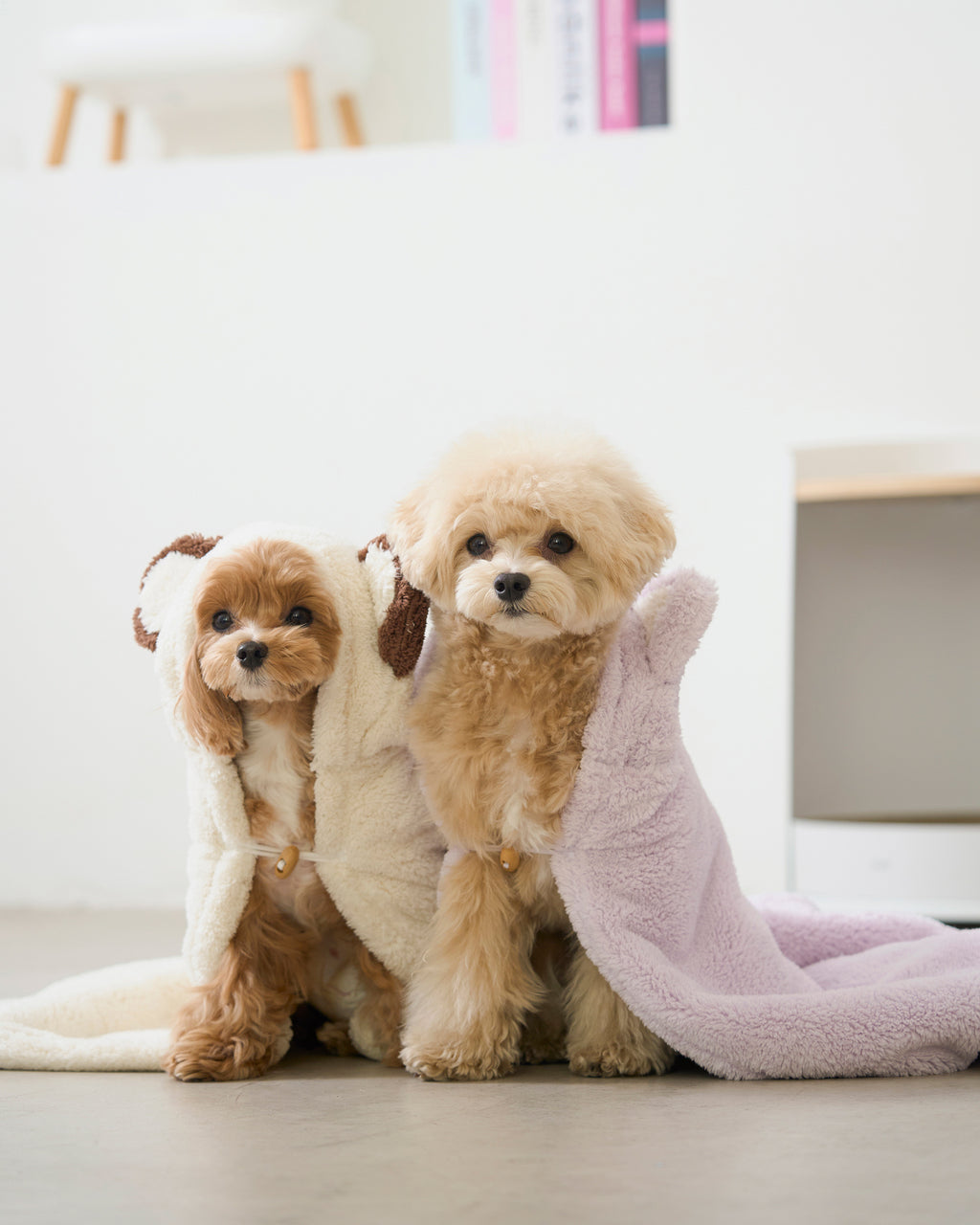 Hooded Microfiber Dog & Cat Dry Towel . Cream
