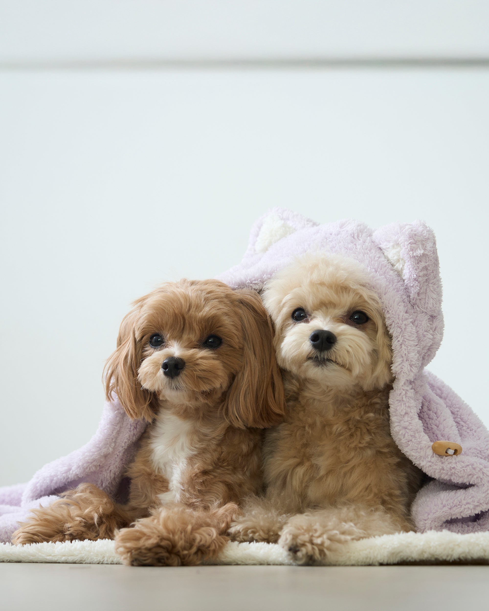 Hooded Microfiber Dog & Cat Dry Towel . Cream
