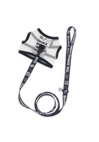 Happy Bounce Mesh Harness & Leash set