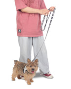 Happy Bounce Mesh Harness & Leash set