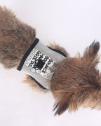 Happy Bounce Mesh Harness & Leash set