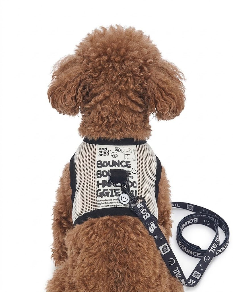 Happy Bounce Mesh Harness & Leash set