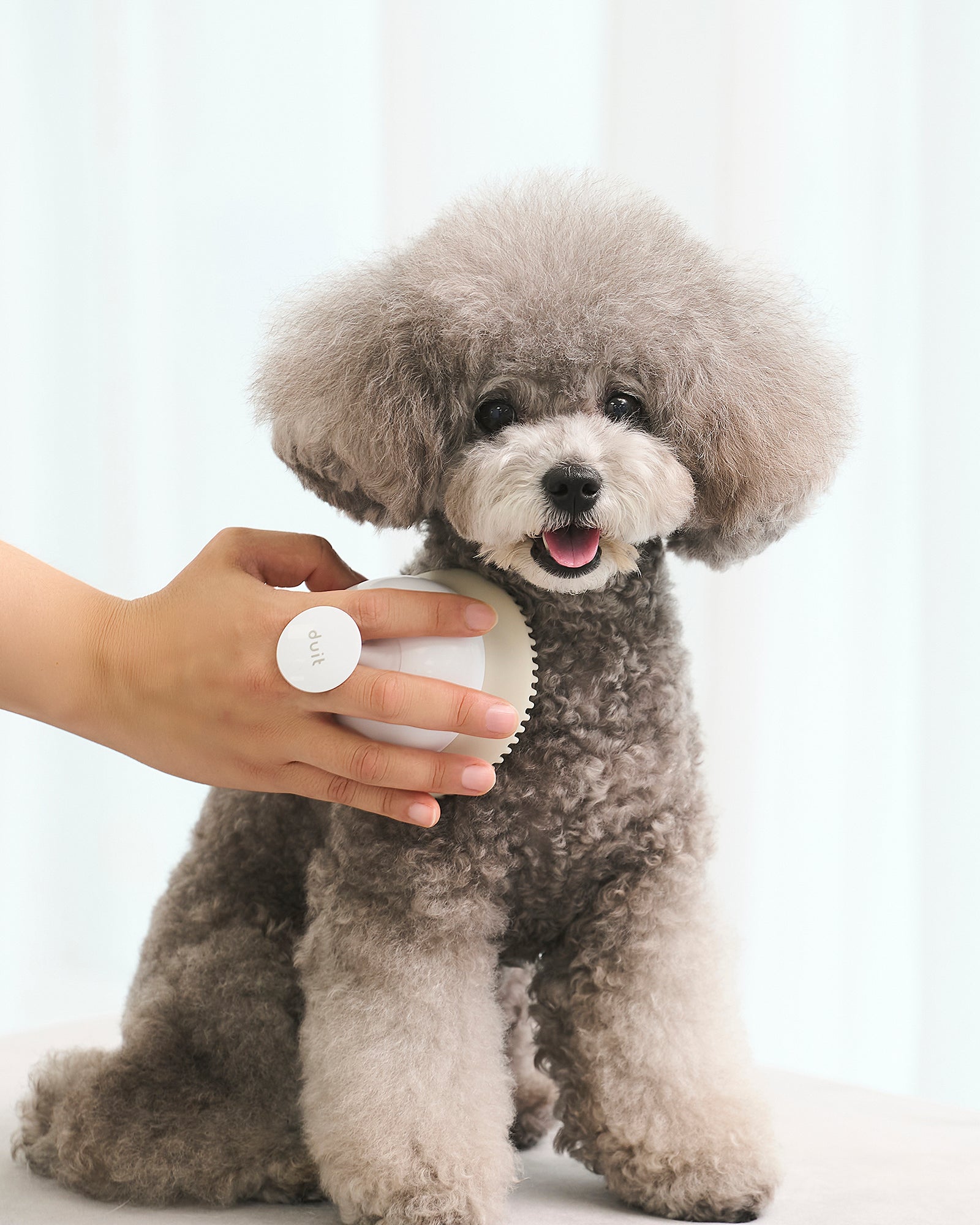 Gentle Silicone Dog & Cat Soft Brush